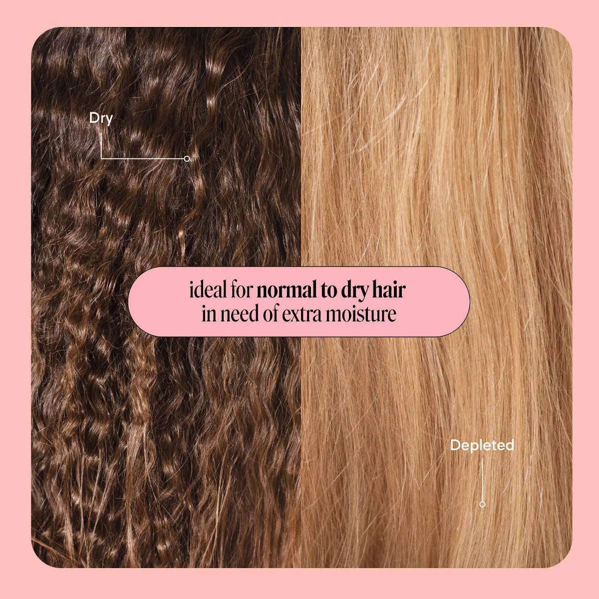 MONDAY Moisture Conditioner